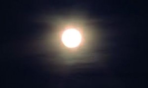 moony-bitch-full-moon-2-300x179-6qQV24.jpg